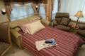Hide-A-Bed Sofa